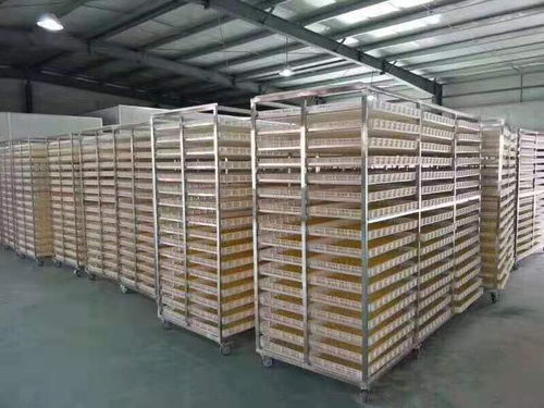 休寧縣新款惠誠食品烘干機廠家 礦山與建筑設備倉儲的高效解決方案